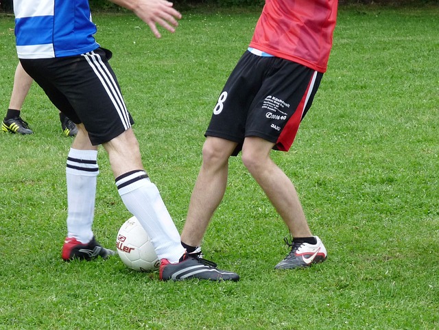 佛山南狮俱 佛山南狮俱