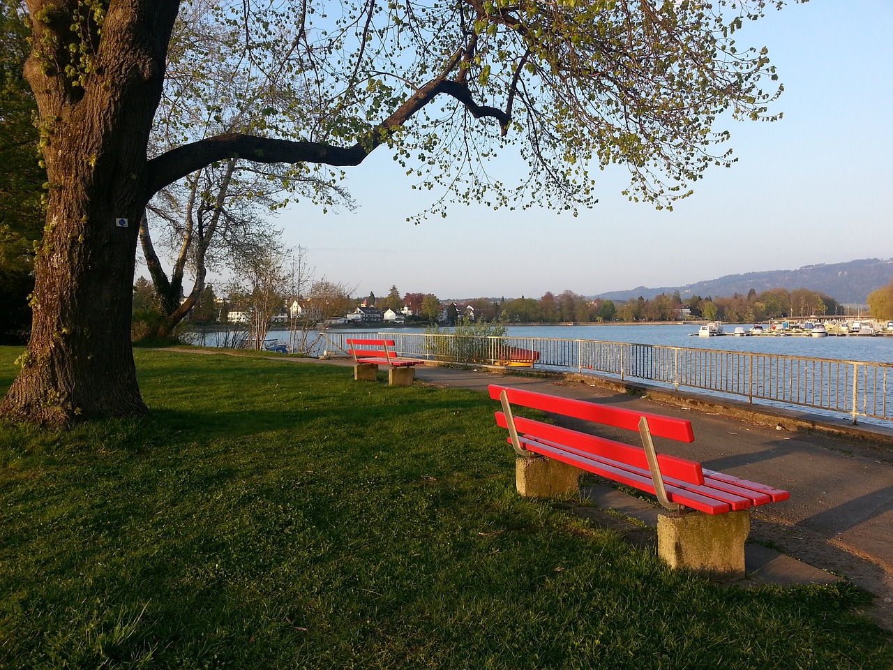 通过观察这 通过观察这