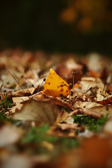 次回合回到 次回合回到