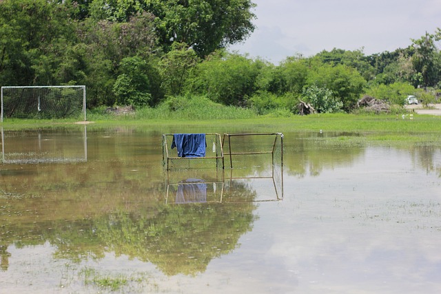 推动乒乓球 推动乒乓球